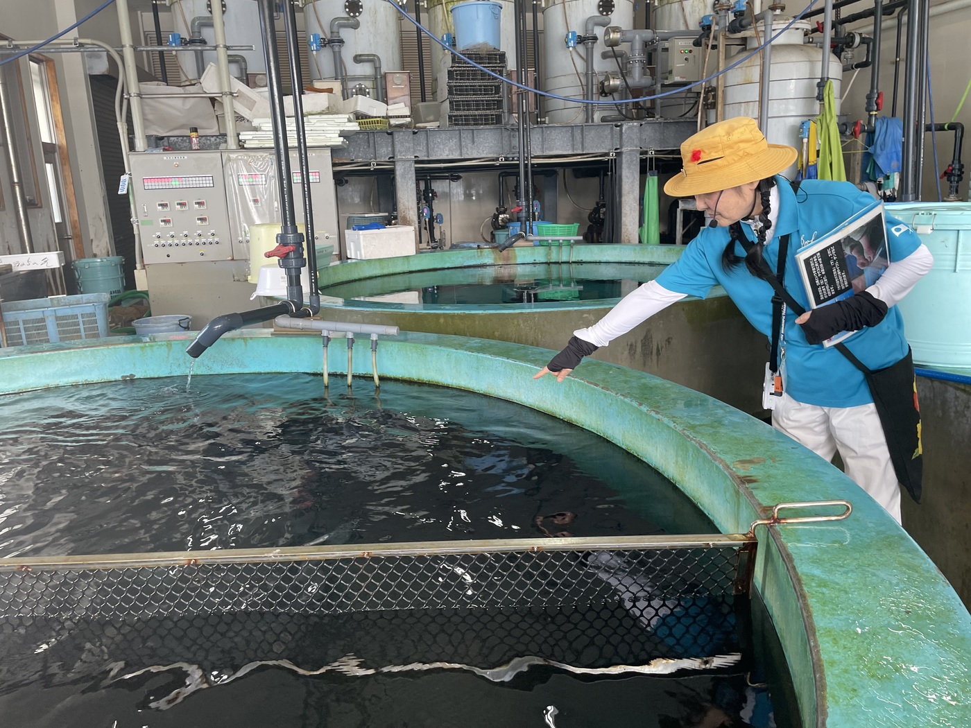 土佐清水ジオガイドツアー(土佐清水ジオの会)