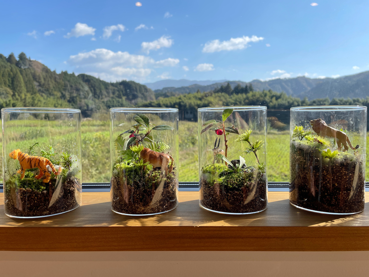 小さな自然に癒される苔テラリウム作り♪(なめかわの郷)