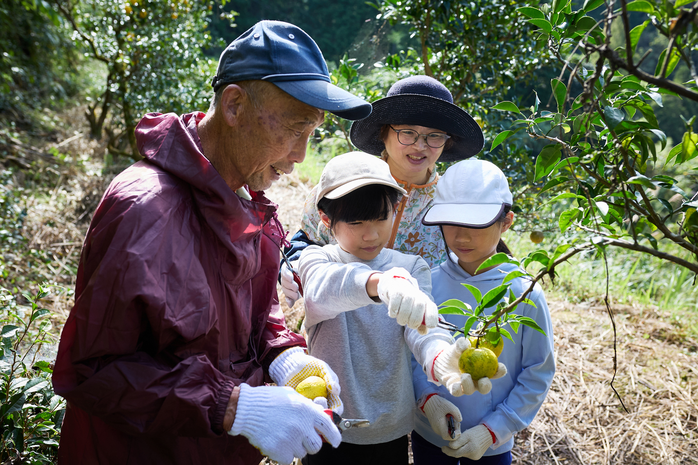 里山体験プログラム・土佐塩の道ウォーキング（FIELD KOCHI）