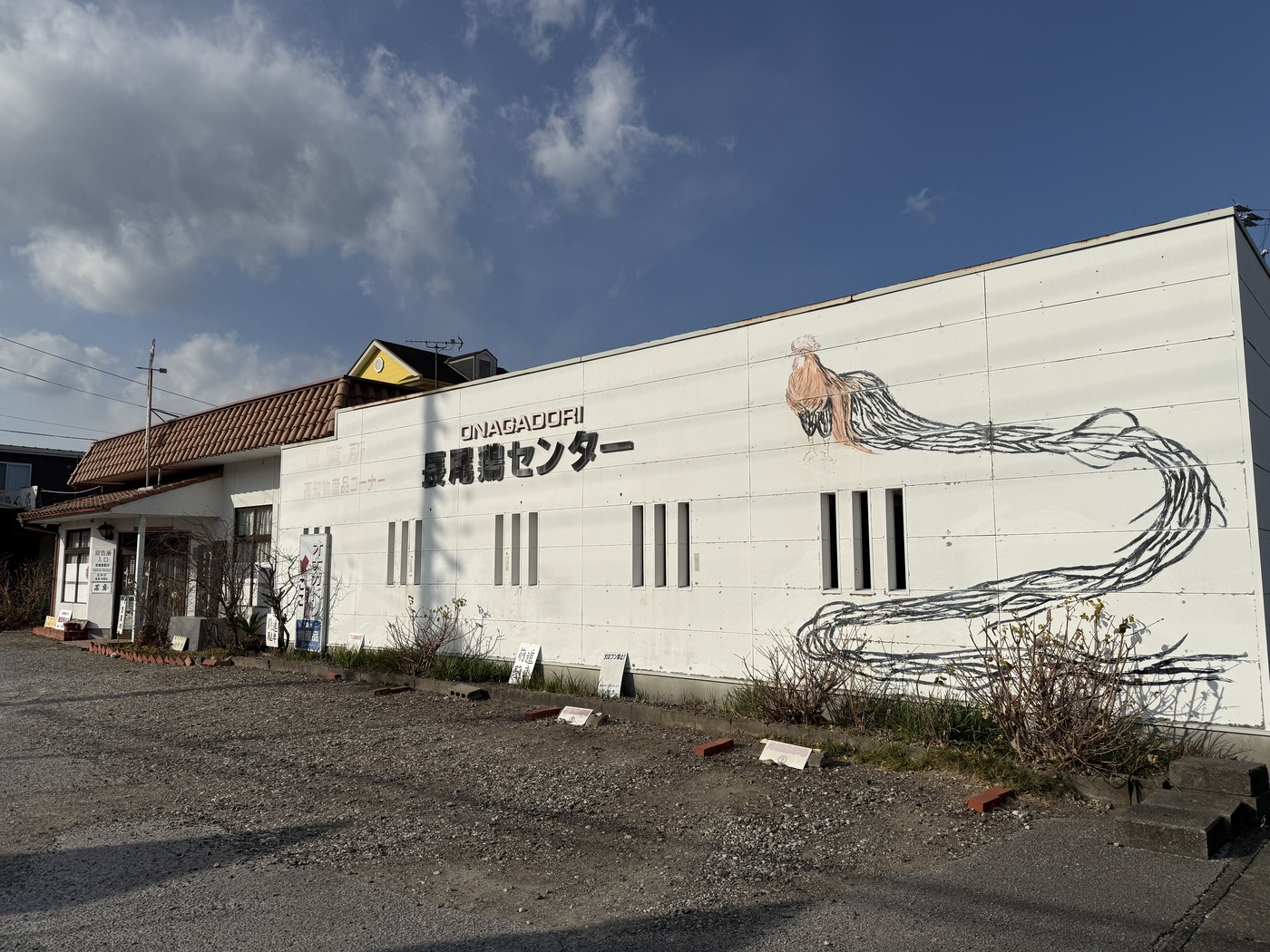 長尾鶏センター(土佐のオナガドリ)