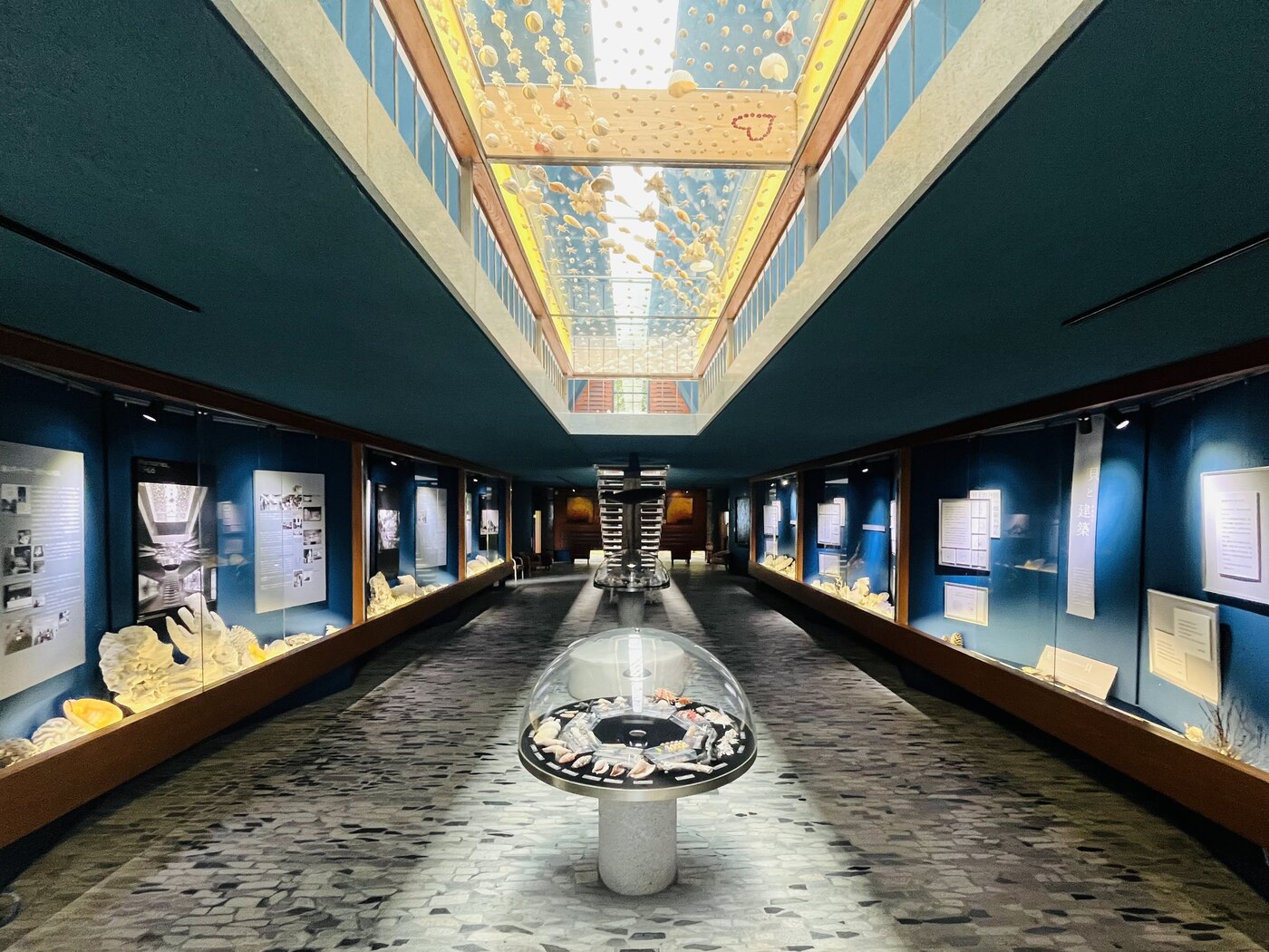 土佐清水市立竜串貝類展示館　海のギャラリー
