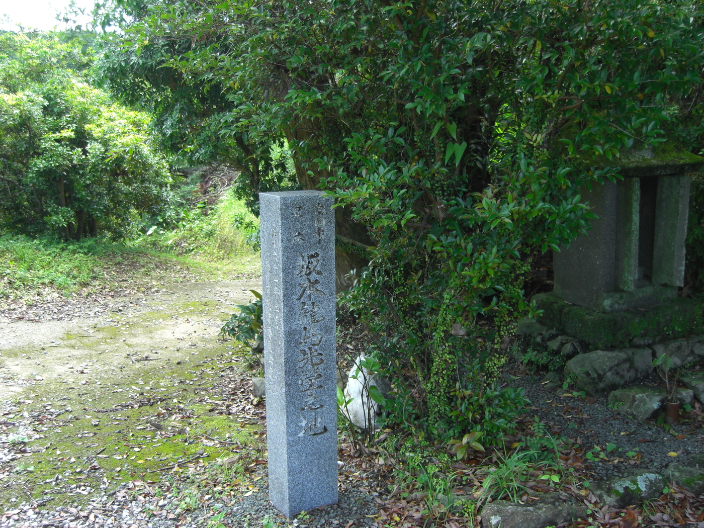 坂本家初代・太郎五郎の墓