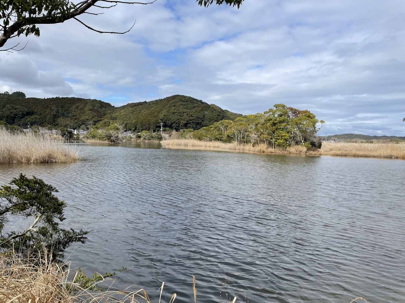 四万十川野鳥自然公園