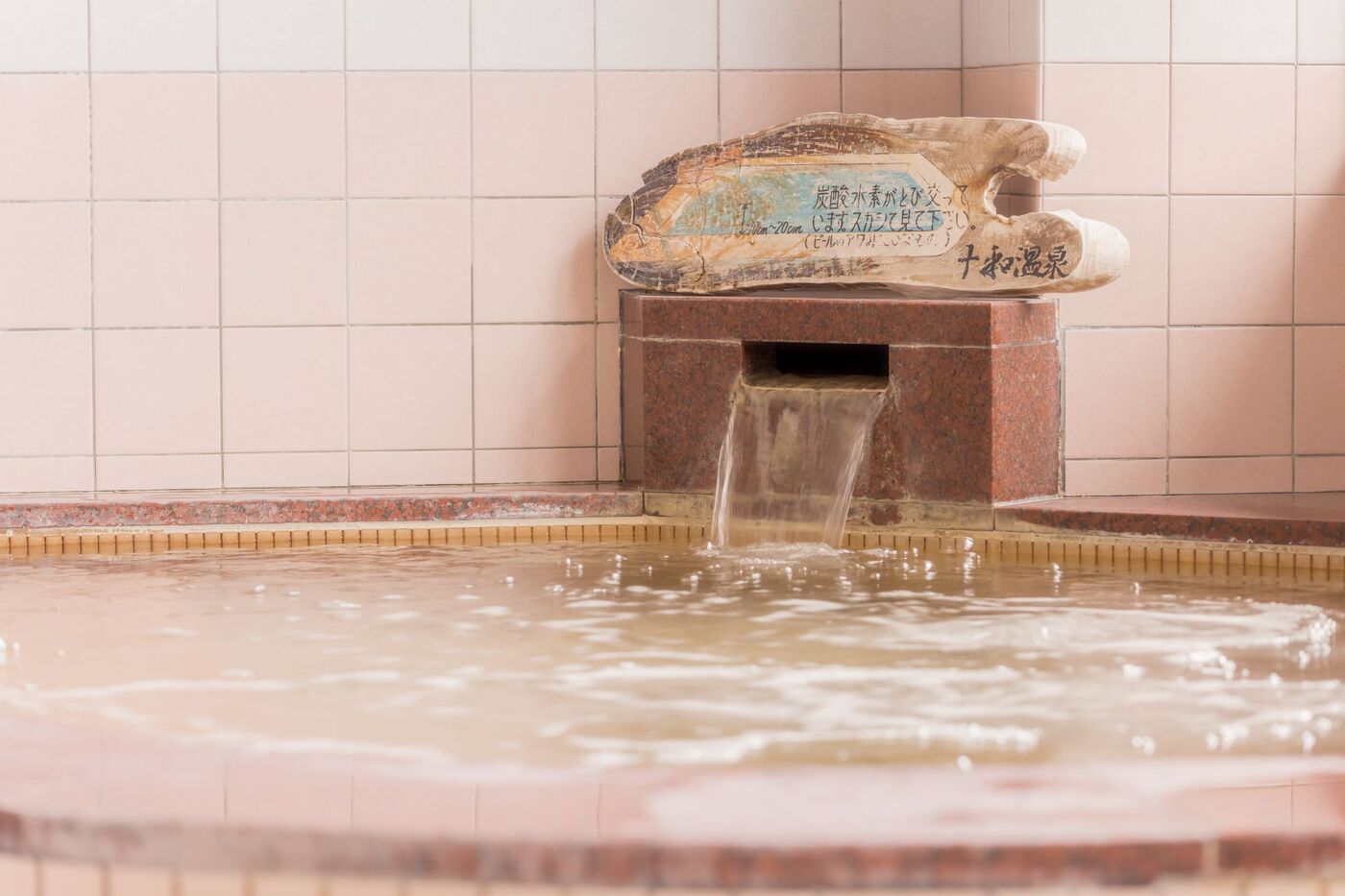 清流四万十の里　十和温泉