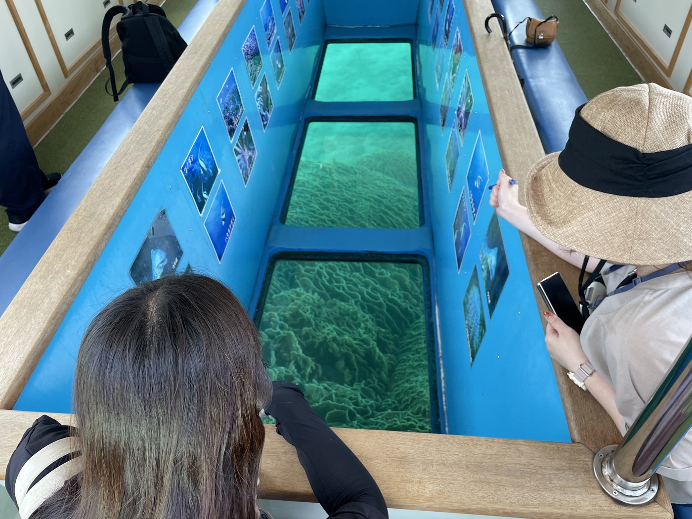 竜串見残奇岩パークツアーグラスボート（竜串観光汽船）