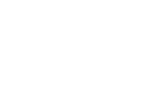 Art+高知城,ひかりの花図鑑