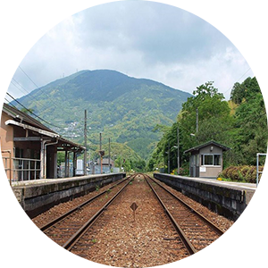 須崎市/蟠蛇森