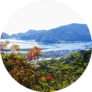 土佐市/青龍寺道（塚地峠）