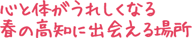 心と体がうれしくなる春の高知に出会える場所