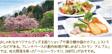 東洋の園芸植物を中心に集めた「南園 50周年記念庭園」や熱帯の植物を植栽した温室などもあり、草花に囲まれて一日を過ごすことができる