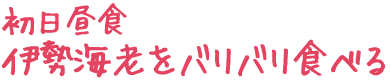 뿩ϷХХ꿩٤