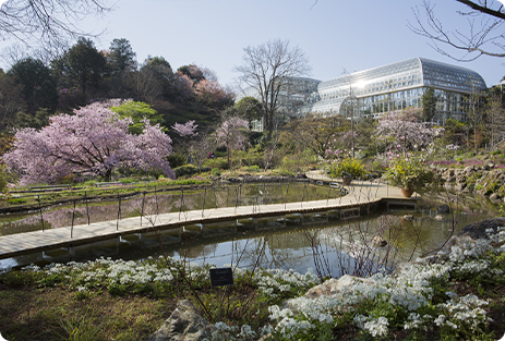 高知県立牧野植物園