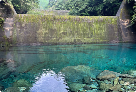 安居渓谷