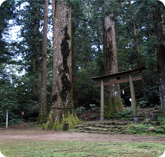 越知町