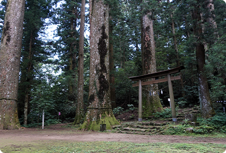 横倉山