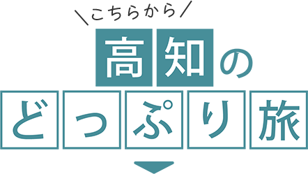 どっぷり高知旅